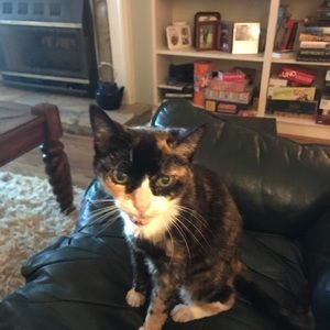 Meet your Posher, Janet